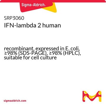 IFN-lambda 2 human