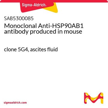 Monoclonal Anti-HSP90AB1 antibody produced in
