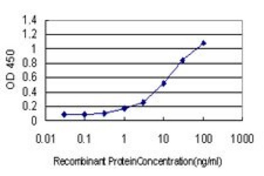 Monoclonal Anti-LGMN antibody produced in