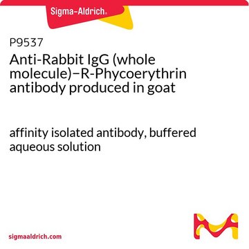 Anti-Rabbit IgG (whole molecule)?R-Phycoerythrin antibody