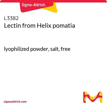 Lectin from Helix pomatia