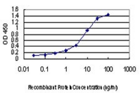 Monoclonal Anti-MYO7A antibody produced in