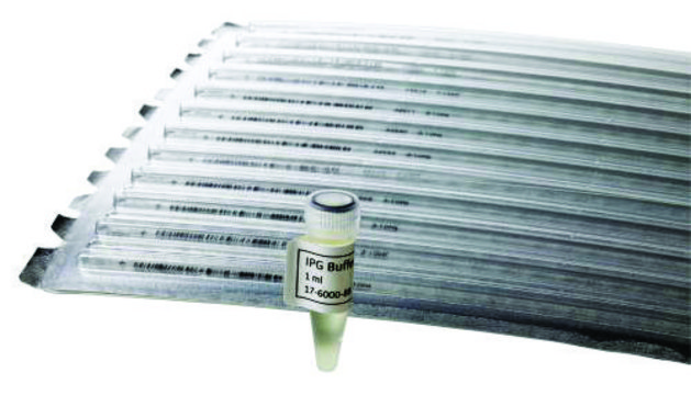 IPG-Buffer, pH 3-10 NL