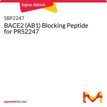 BACE2 (AB1) Blocking Peptide for