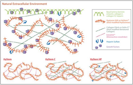 HyStem®-HP Cell Culture Scaffold Kit