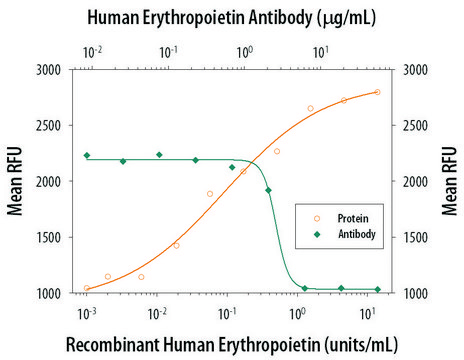 Anti-Erythropoietin antibody produced in rabbit
