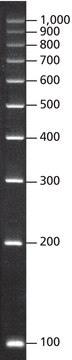 DirectLoad™ PCR 100 bp Low