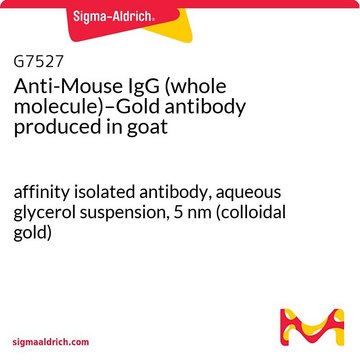 Anti-Mouse IgG (whole molecule)–Gold antibody