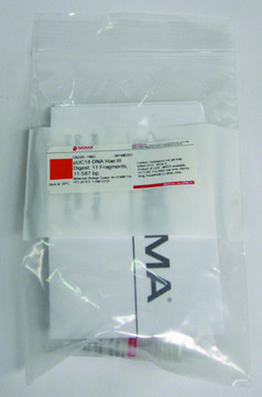 pUC18 DNA Hae III Digest