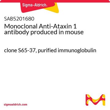 Monoclonal Anti-Ataxin 1 antibody produced