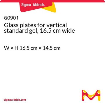 Glass plates for vertical standard