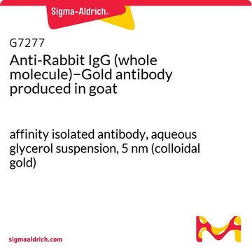 Anti-Rabbit IgG (whole molecule)?Gold antibody