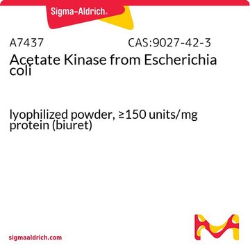 Acetate Kinase from Escherichia coli