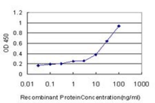 Monoclonal Anti-FUT7 antibody produced in