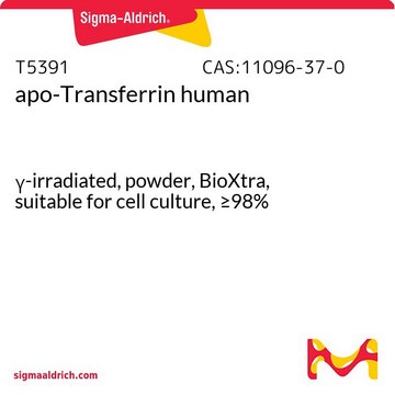 apo-Transferrin human