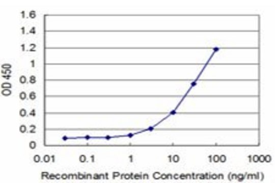 Monoclonal Anti-EGFR antibody produced in