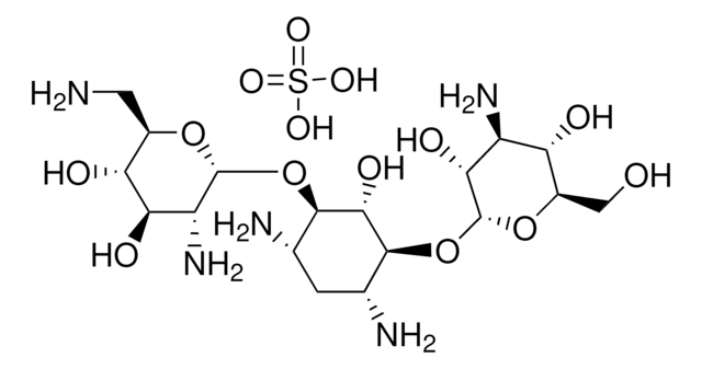 Kanamycin B sulfate salt