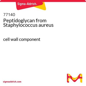 Peptidoglycan from Staphylococcus aureus