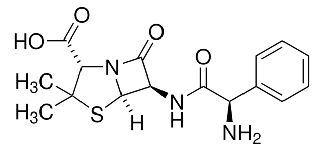 AMPICILLIN