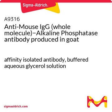 Anti-Mouse IgG (whole molecule)?Alkaline Phosphatase