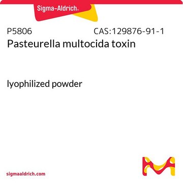 Pasteurella multocida toxin