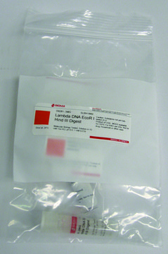 Lambda DNA EcoR I Hind