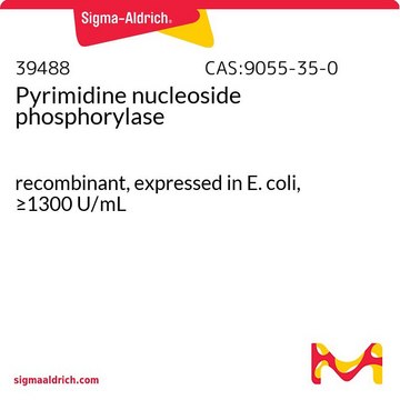 Pyrimidine nucleoside phosphorylase
