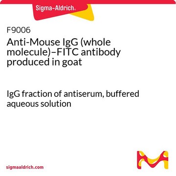Anti-Mouse IgG (whole molecule)–FITC antibody