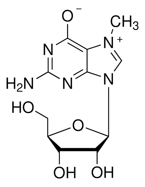 7-Methylguanosine