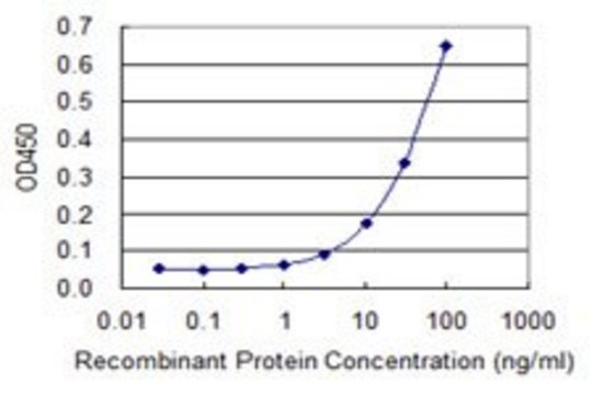 Monoclonal Anti-C20orf10 antibody produced in
