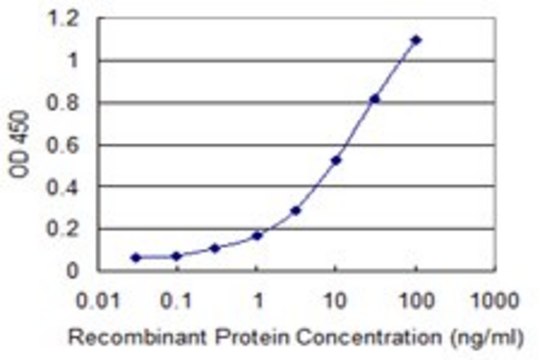 Monoclonal Anti-IKBKE antibody produced in