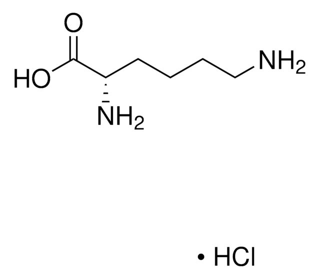 Lysine hydrochloride