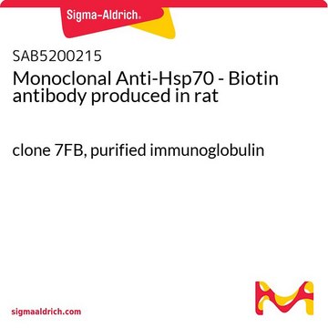 Monoclonal Anti-Hsp70 - Biotin antibody