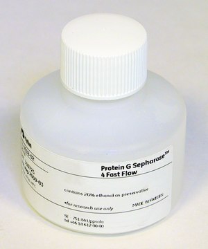 Protein G Sepharose™ 4 Fast