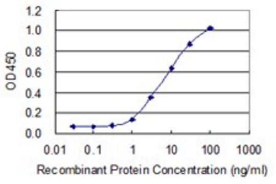 Monoclonal Anti-CD8B1 antibody produced in