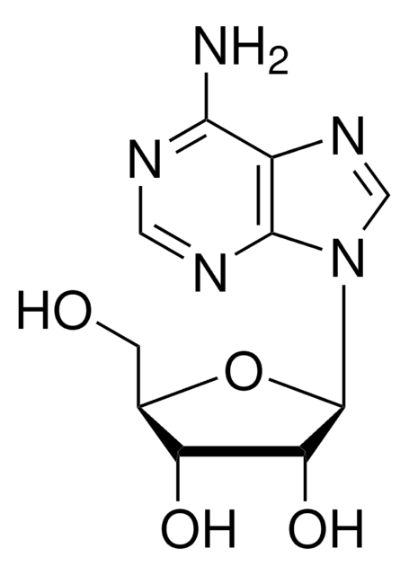 ADENOSINE, UNITED STATES PHARMACOPEIA (U