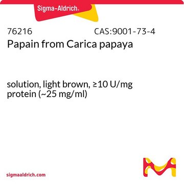 Papain from Carica papaya