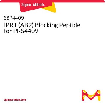 IPR1 (AB2) Blocking Peptide for