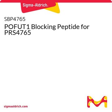 POFUT1 Blocking Peptide for PRS4765