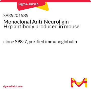 Monoclonal Anti-Neuroligin - Hrp antibody