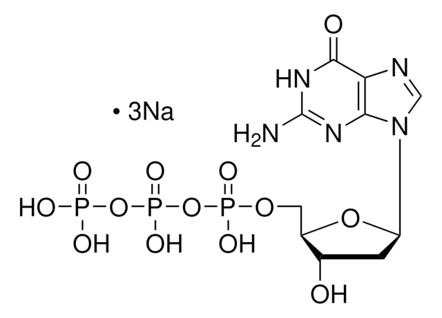 2?-Deoxyguanosine 5?-triphosphate trisodium salt solution