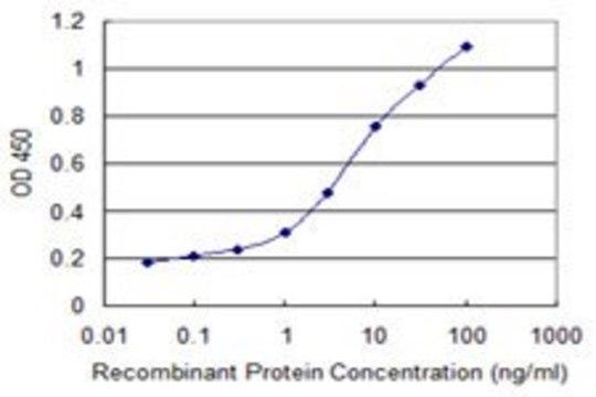 Monoclonal Anti-PCDHB11 antibody produced in
