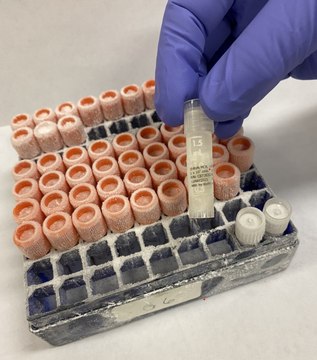 Sf-RVN™ Insect Cell Line