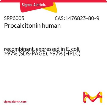 Procalcitonin human