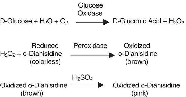 Glucose Oxidase from Aspergillus niger