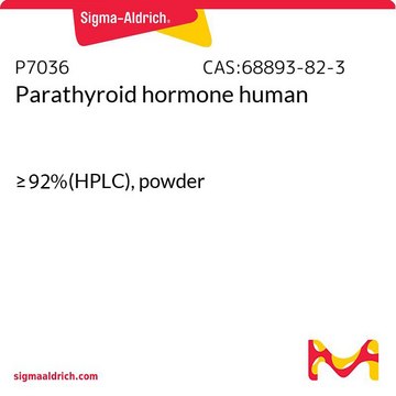 Parathyroid hormone human
