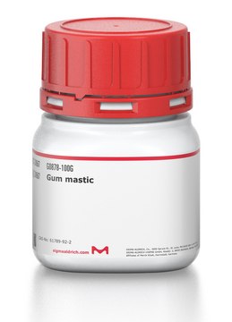 Gum mastic
