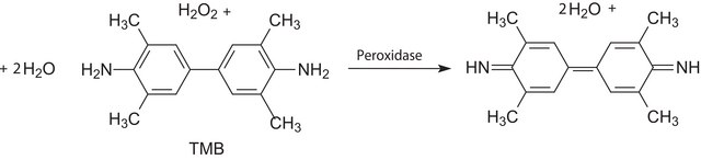 3,3?,5,5?-Tetramethylbenzidine
