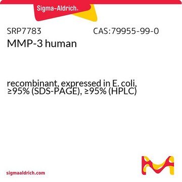 MMP-3 human