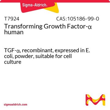 Transforming Growth Factor-? human